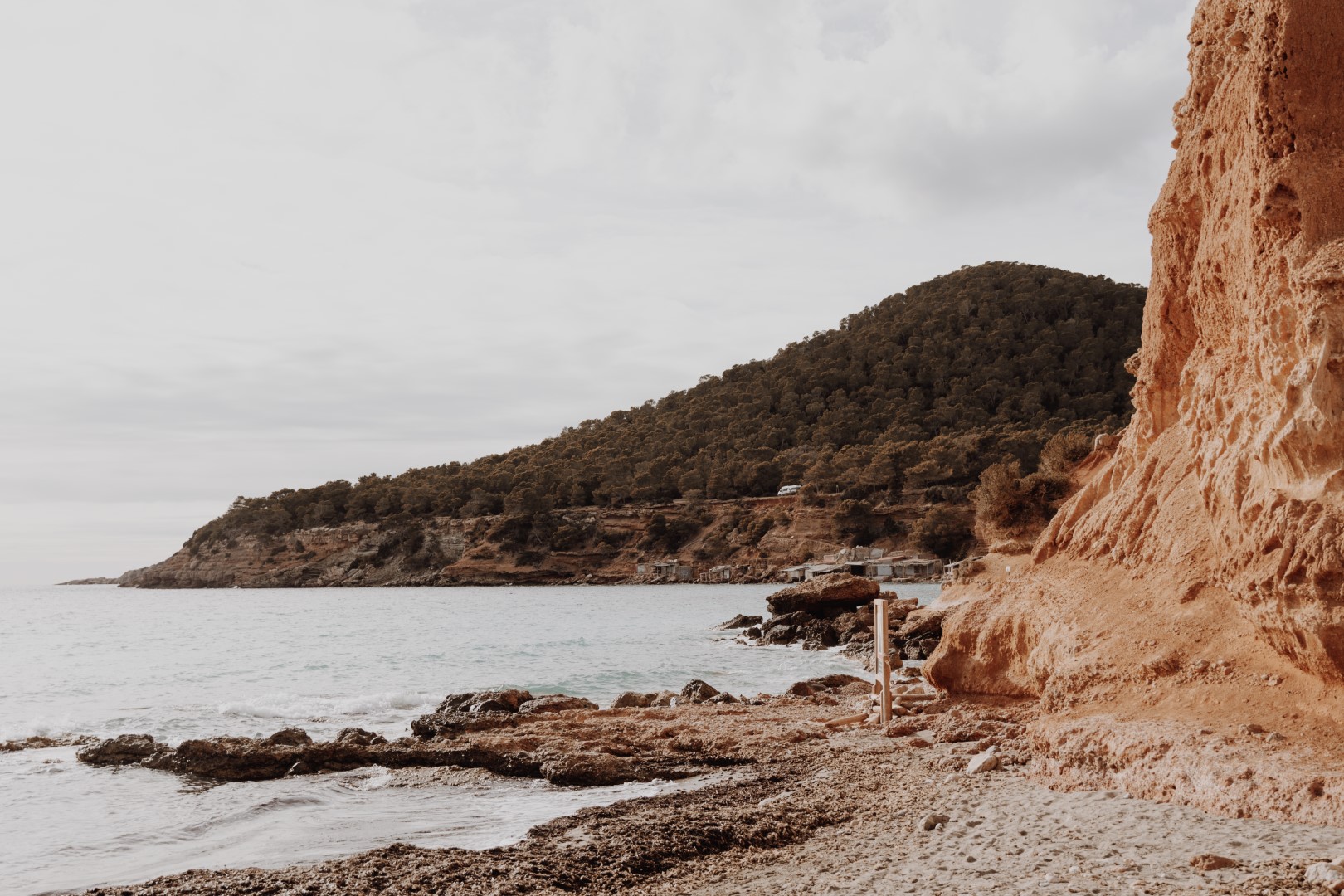 accountability mentoring and coaching faq